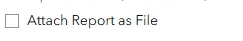 Report Email